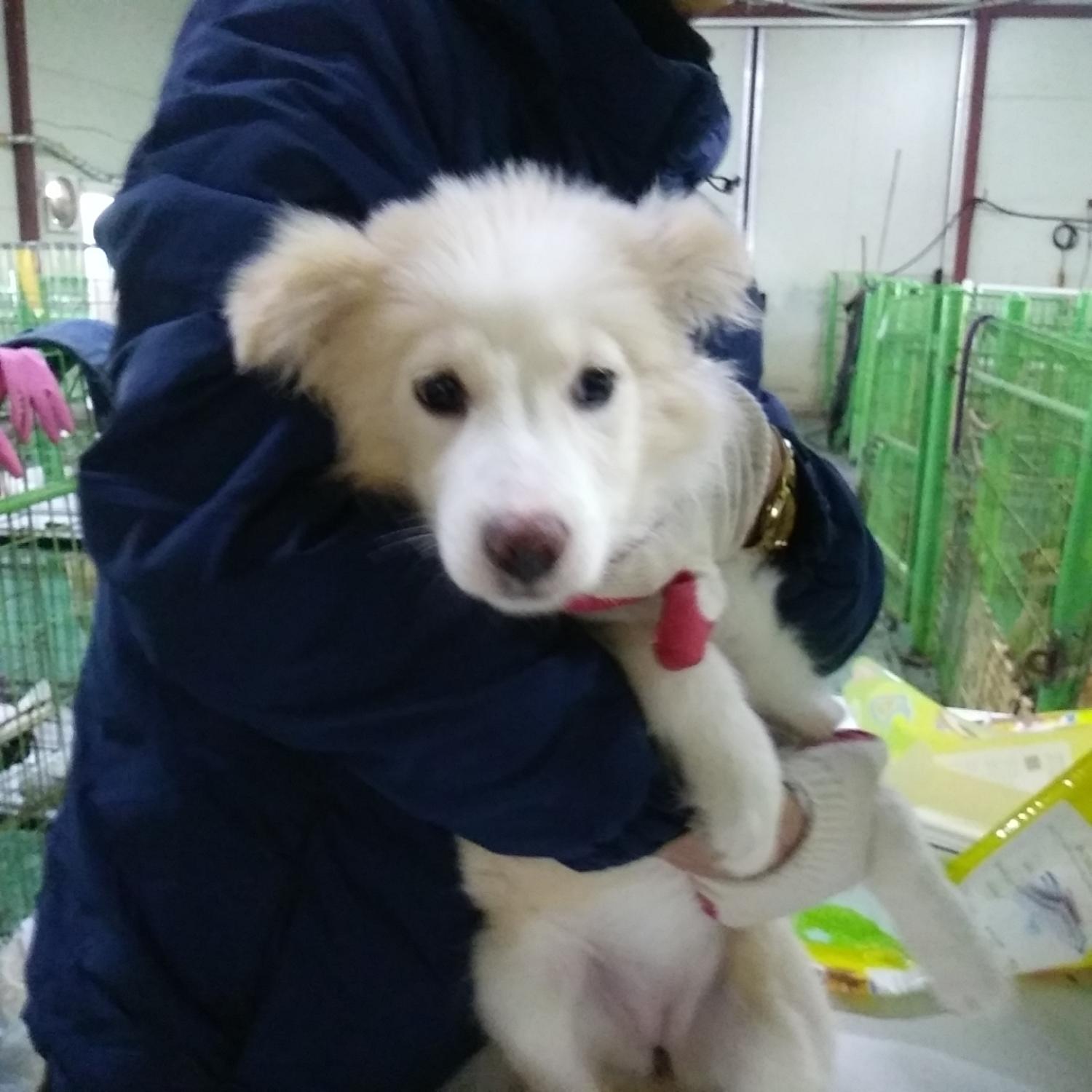 인천광역시수의사회_428353202400055